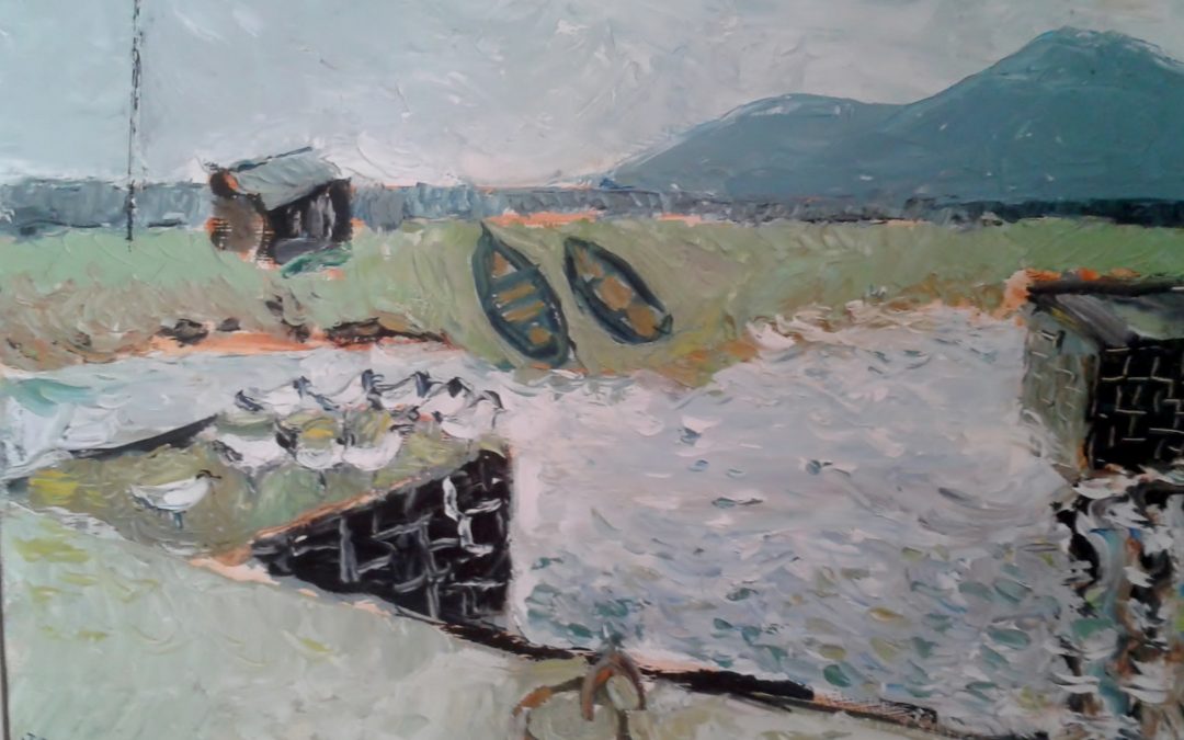 Oystercatchers