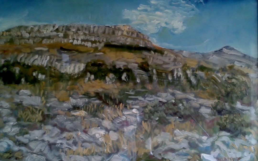 Fertile rock, Burren