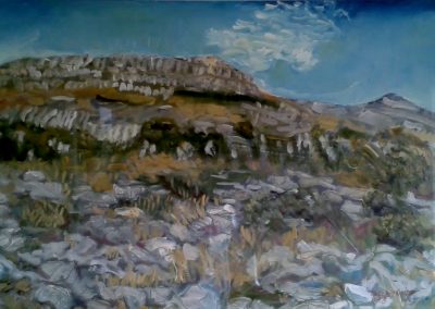Fertile rock, Burren