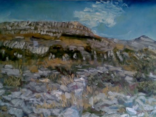 Fertile rock, Burren