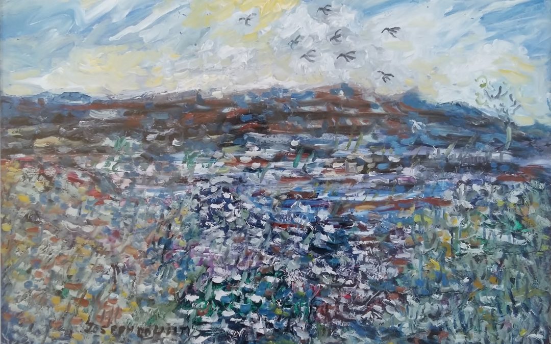 Burren lake with birds