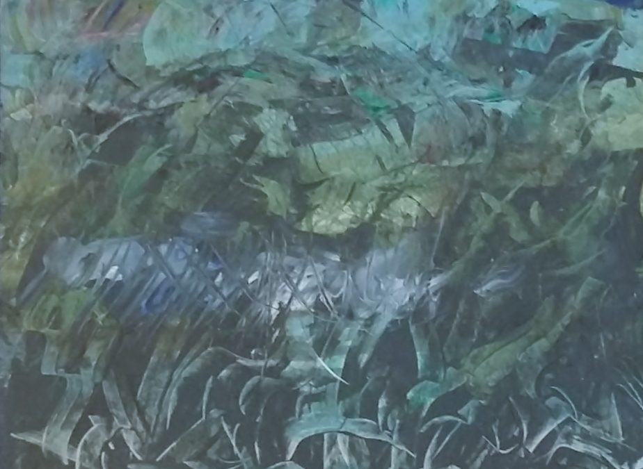 Marshy land, Burren