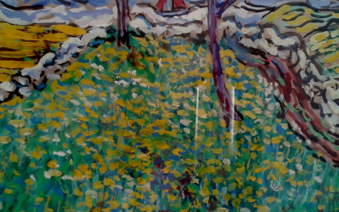 Wildflower meadow